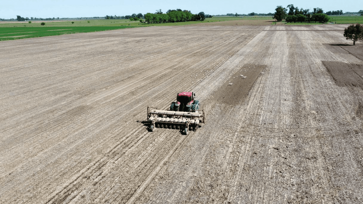 Campo de Legion Agro 1