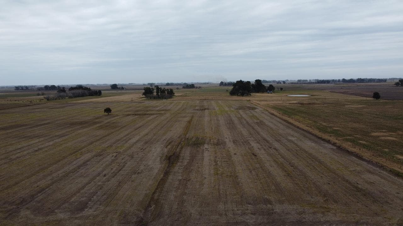 Monitoreo con drones en Legion Agro